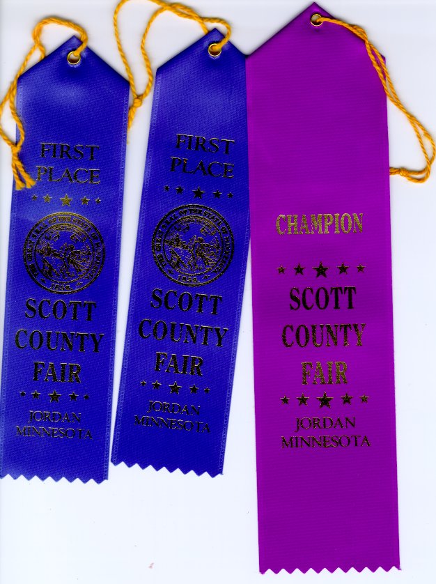Scott County Fair - First Place Blue Ribbon - Cyser & Cider